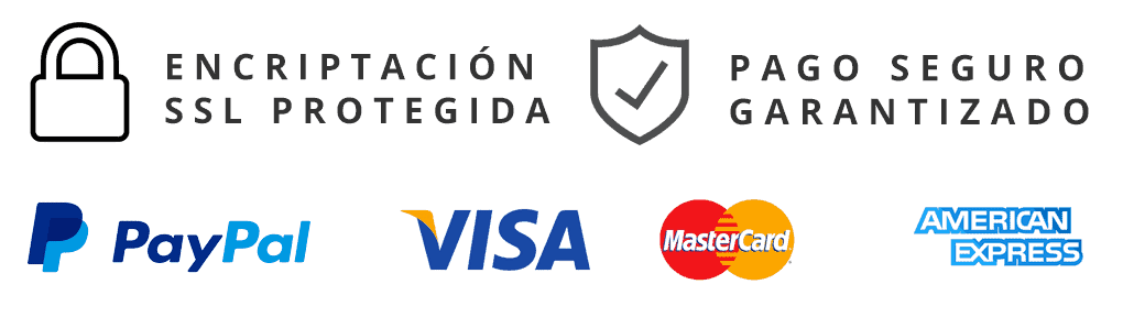 pago-seguro-1 (1)